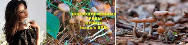 мдпв Кирс