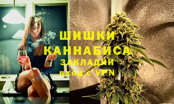 хмурый Сосновка