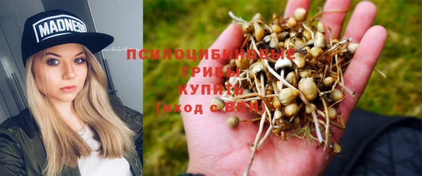 спиды Сосновоборск