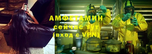 PSILOCYBIN Струнино