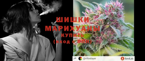 хмурый Сосновка