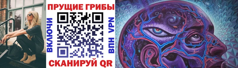 Псилоцибиновые грибы GOLDEN TEACHER  Шлиссельбург 